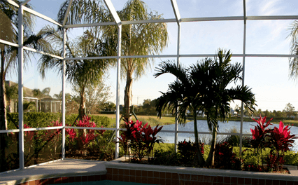 Pool Screen Repair in SWFL