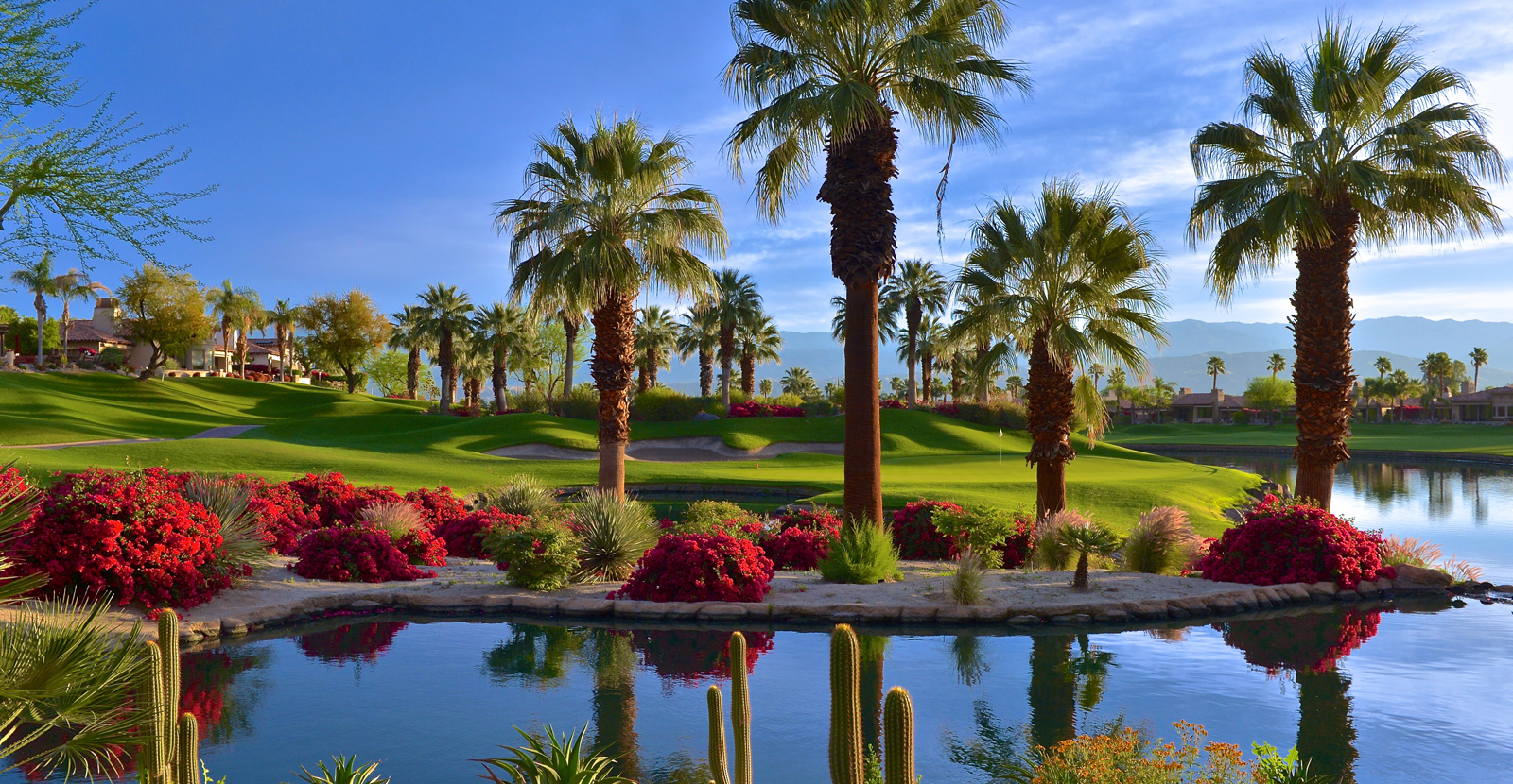 Golf course at golden hour