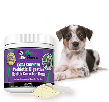 #1 Dog Digestive Skin & Allergy Problems Probiotic Powder For Dogs