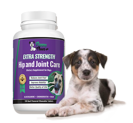Hip and Joint Care Leg Pain Supplements For Dogs